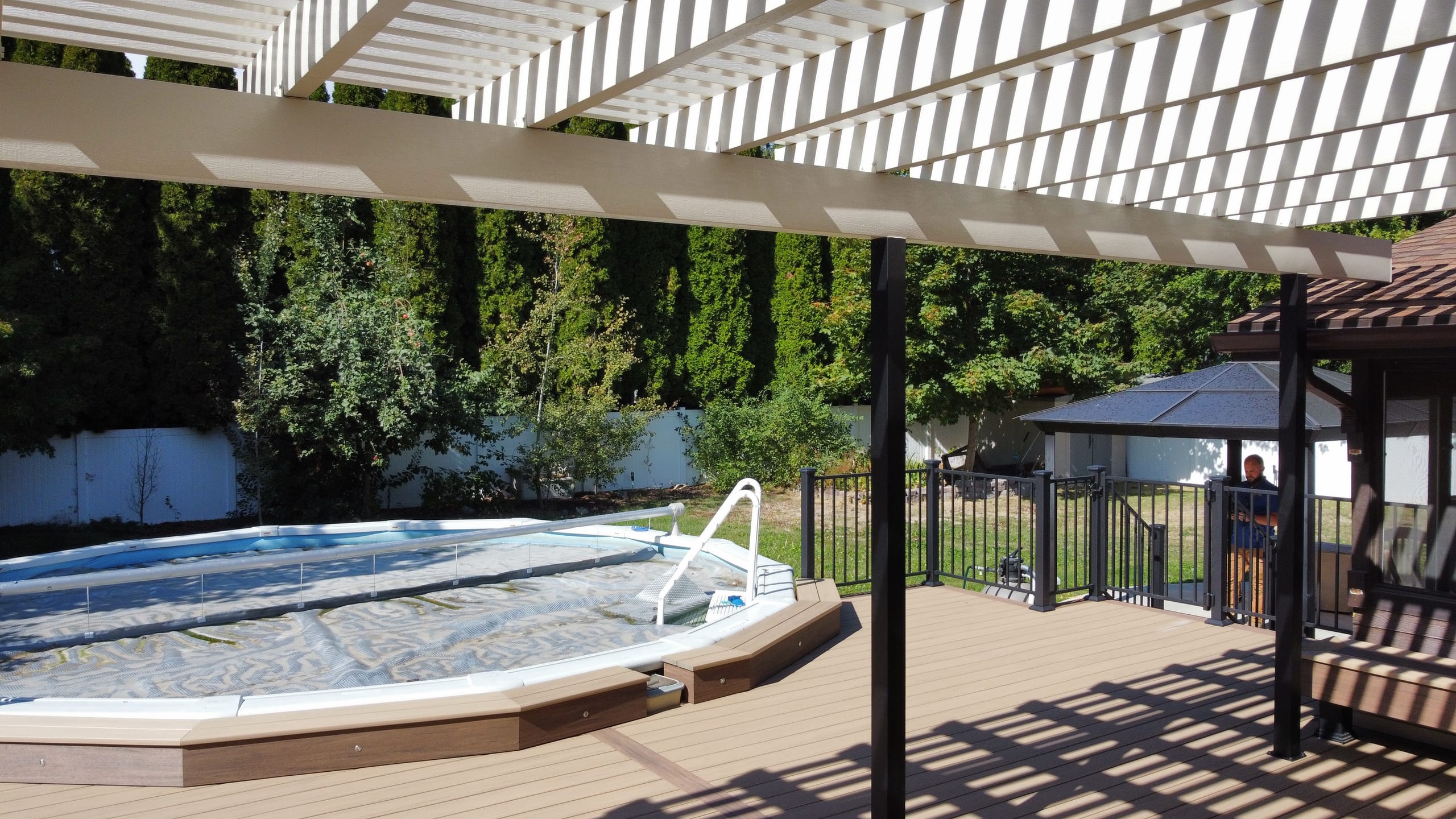 White louvered pergola overhead on tan composite deck beside above-ground pool framed by arborvitae hedge